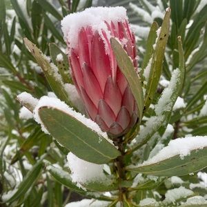 Meet your Posher, Mieke